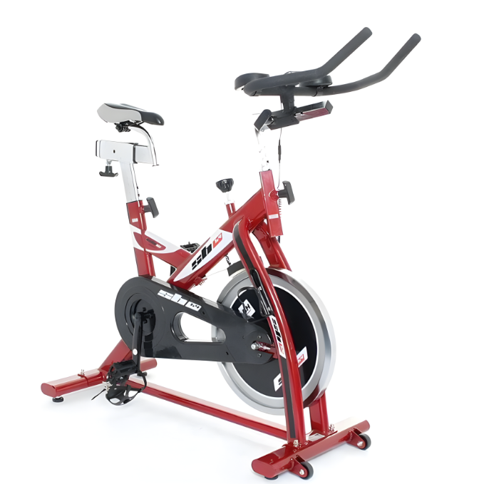 BH Fitness SB1.4 Indoor Cycling Exercise Bike