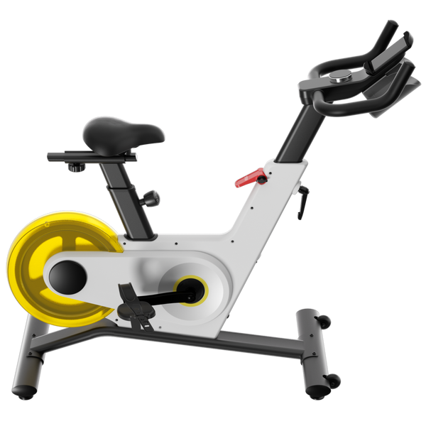 Kingsmith Spinning Bike Indoor Bike, PB08S