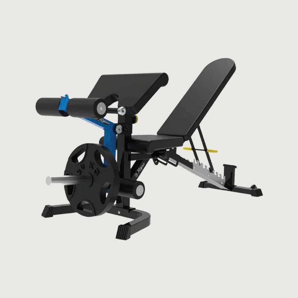 Fitgenix FG6069 Multi-Functional Bench | Adjustable Weight Bench