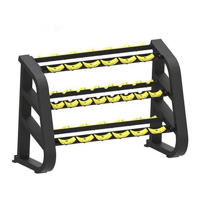 Harley Fitness 3 Tier Dumbbell Rack for 10 Pairs