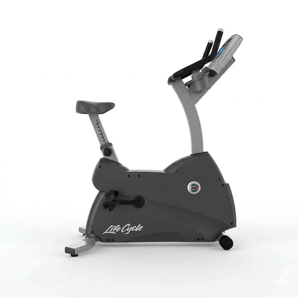 Life Fitness C3 Upright Lifecycle Exercise Bike