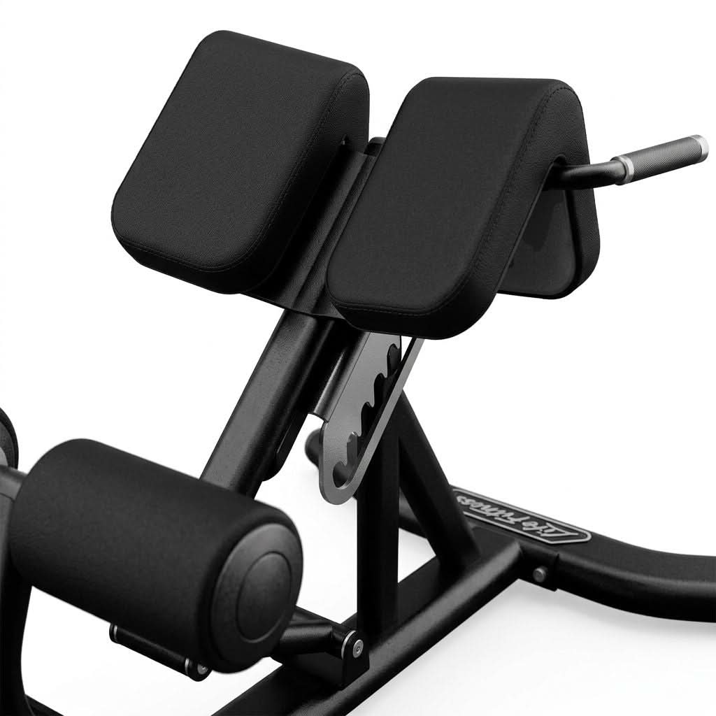 Life Fitness Signature Series Back Extension Bench