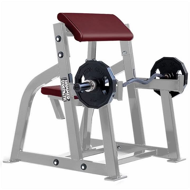 Life Fitness Hammer Arm Curl | Platinum - Cranberry