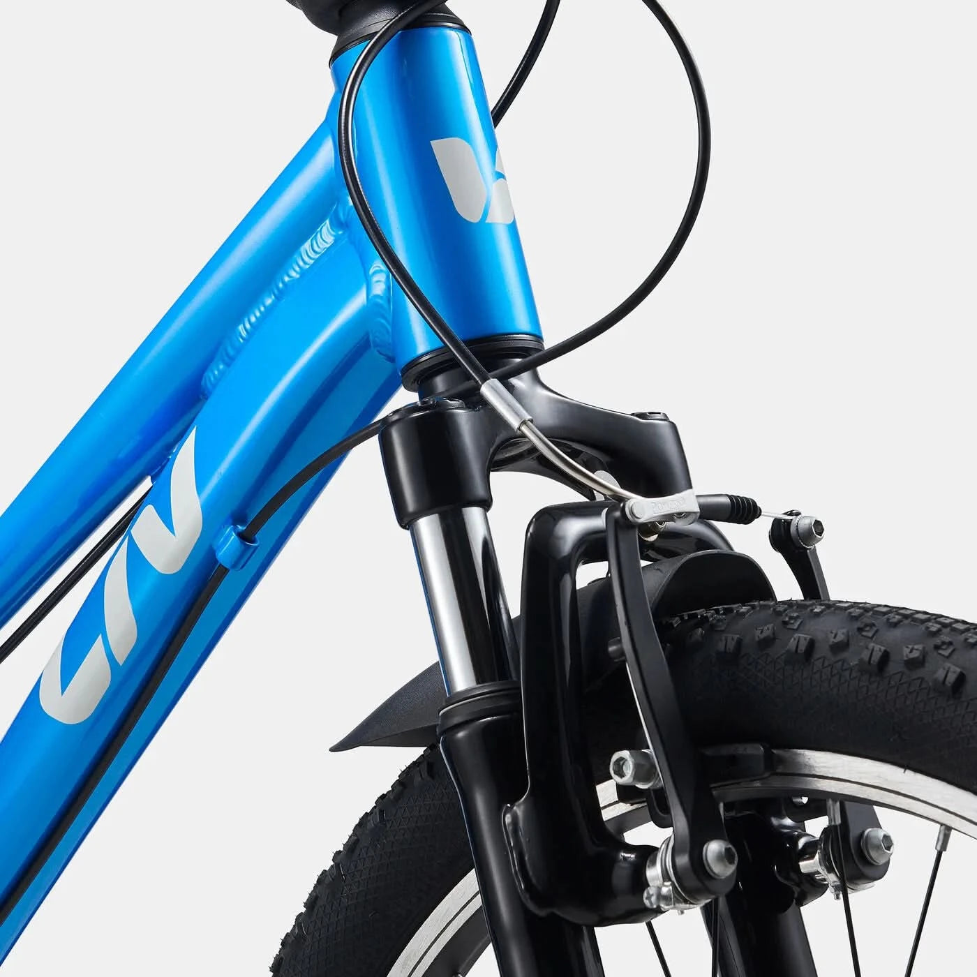Giant Kids' Liv Tempt 20 Mountain Bike - AI Blue