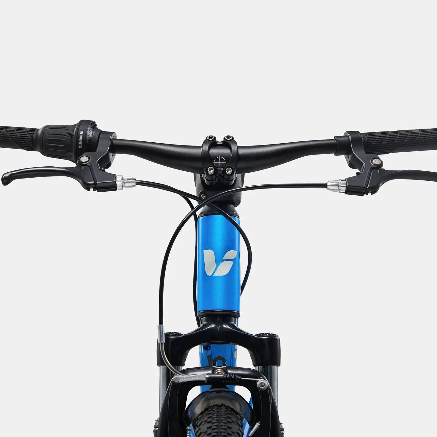Giant Kids' Liv Tempt 20 Mountain Bike - AI Blue