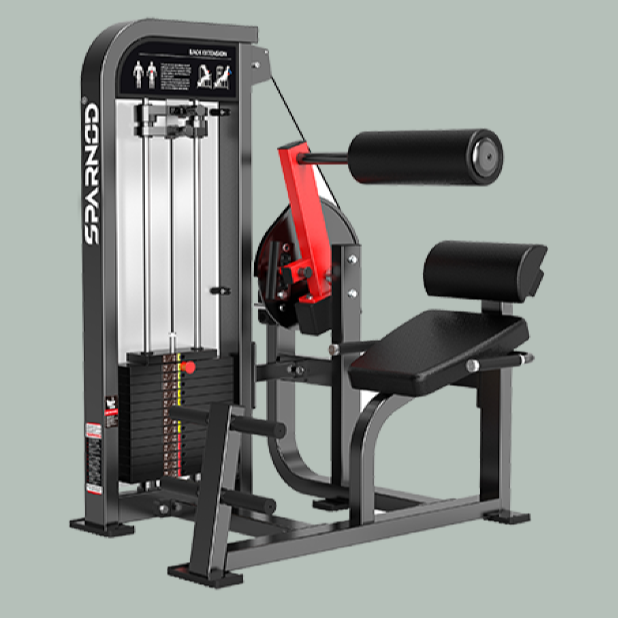 Sparnod Fitness Back Extension, HAM-21