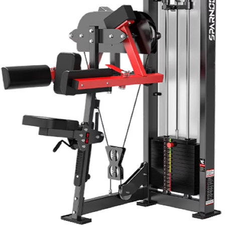 Sparnod Fitness Lateral Raise, HAM-05