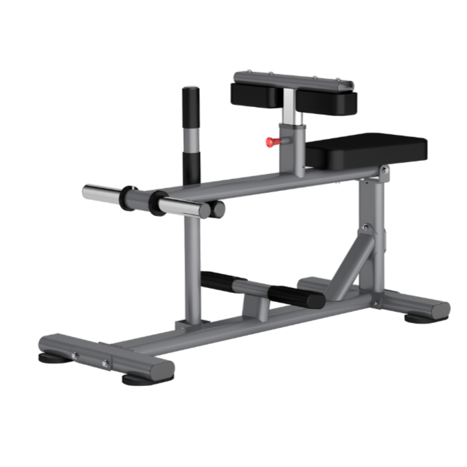 Insight Fitness, Seated Calf Raise DR011, Grey
