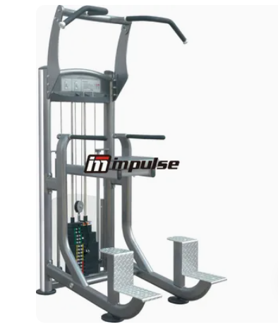Impulse Fitness, Weight Assist Chin/Dip Combo, If9320, Black