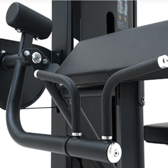 Insight Fitness Biceps Curl Machine SA006D – Black | Arm Workout Gym Equipment