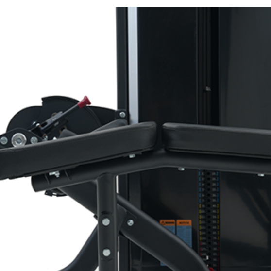 Insight Fitness, LegCurl SA015D, Black