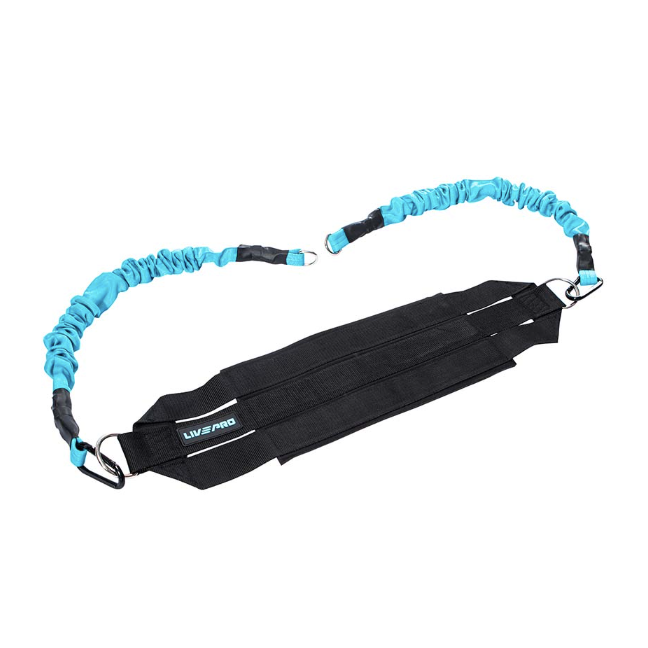 Livepro, Elastic Suspension System, Lp8166, Blue