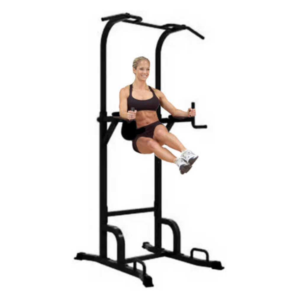 Afton JG-C65 Vertical Knee Raise / Dip Station