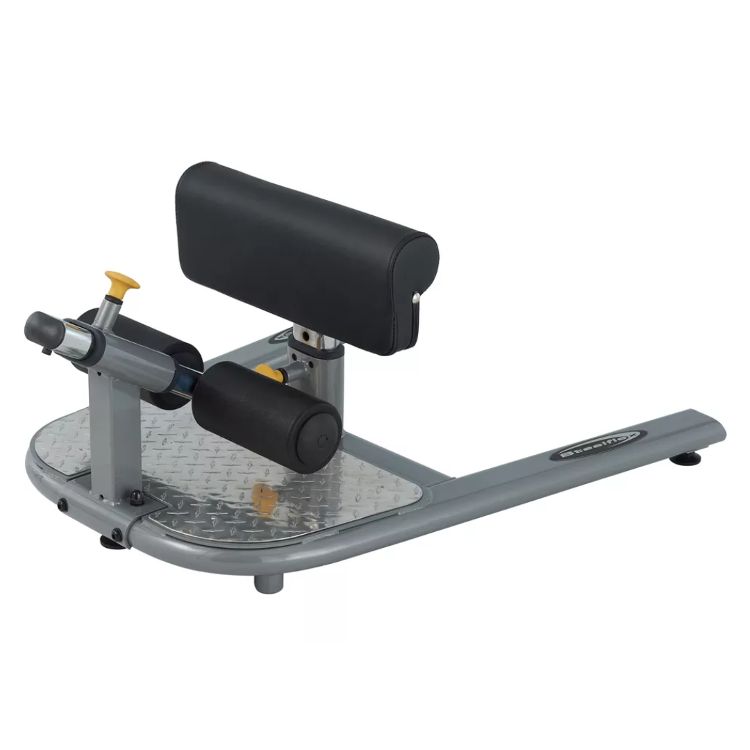 Steelflex Sissy Squat (NSS) – Quad & Core Workout Machine