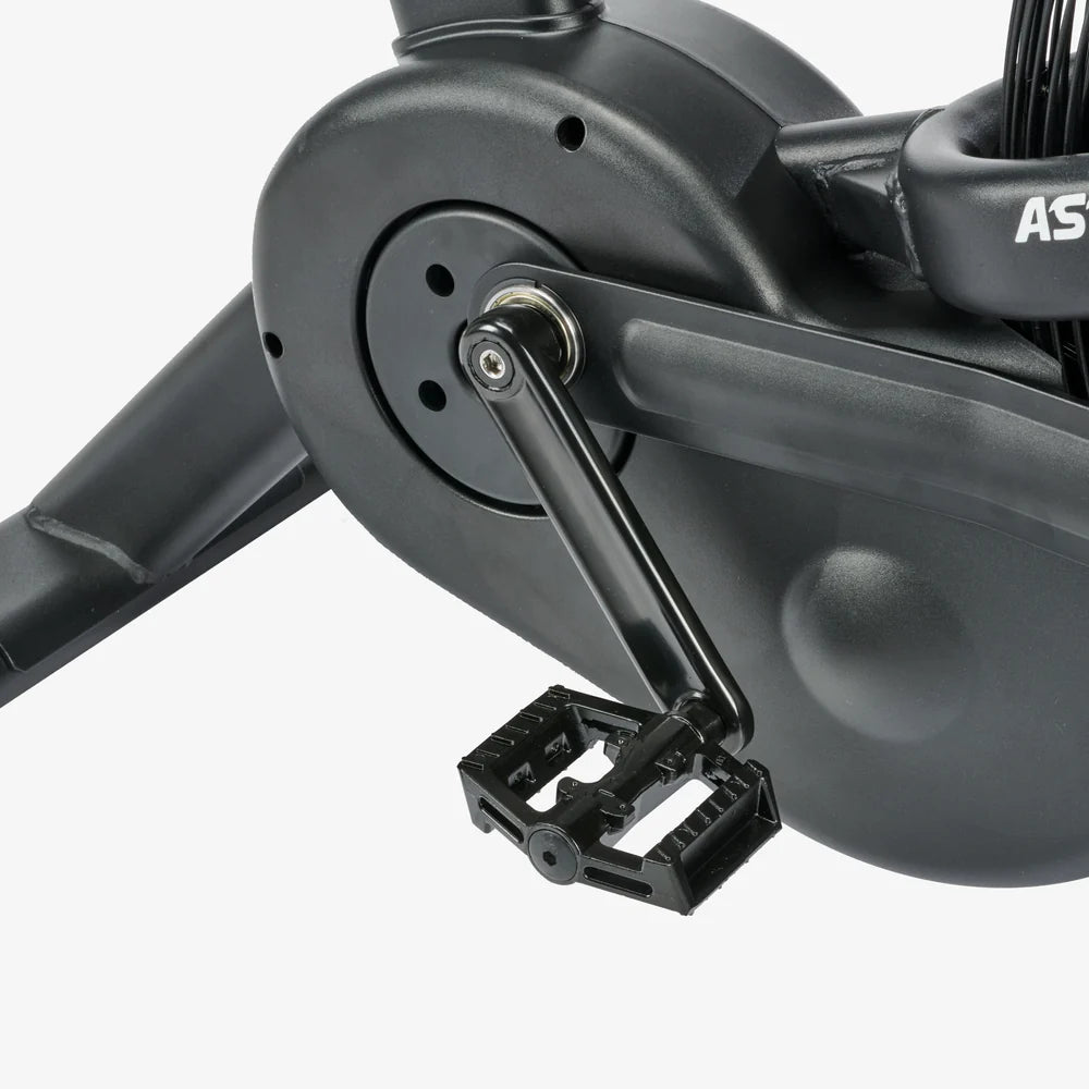 Assault AirBike Pro