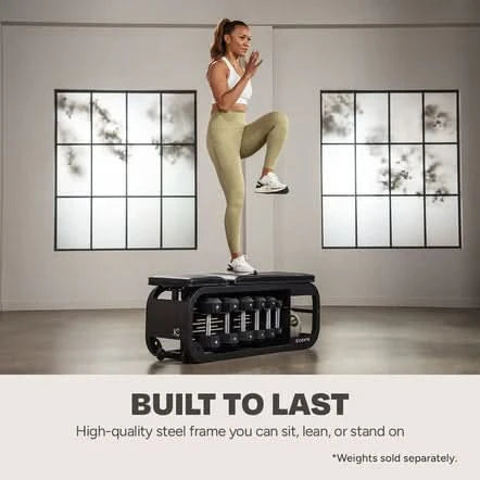 Inspire Fitness Centr Fusion Bench With Weight Storage