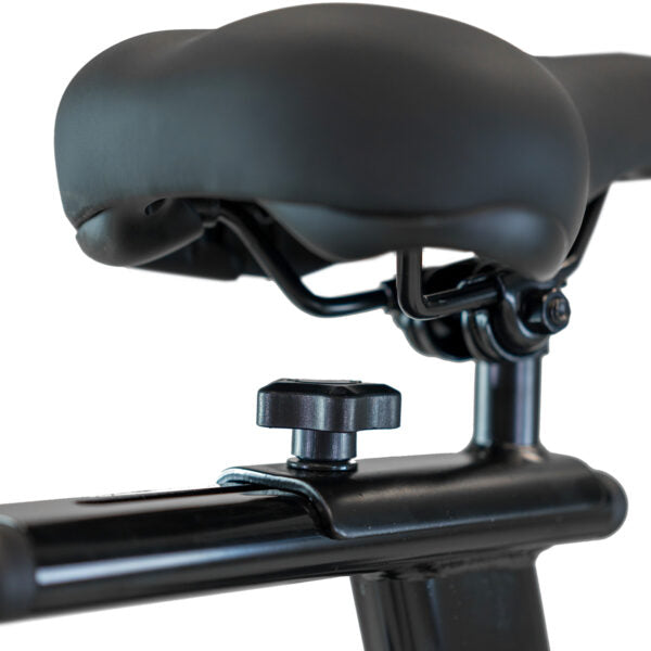 BH Fitness Xcalibur H9340 Exercise Bike