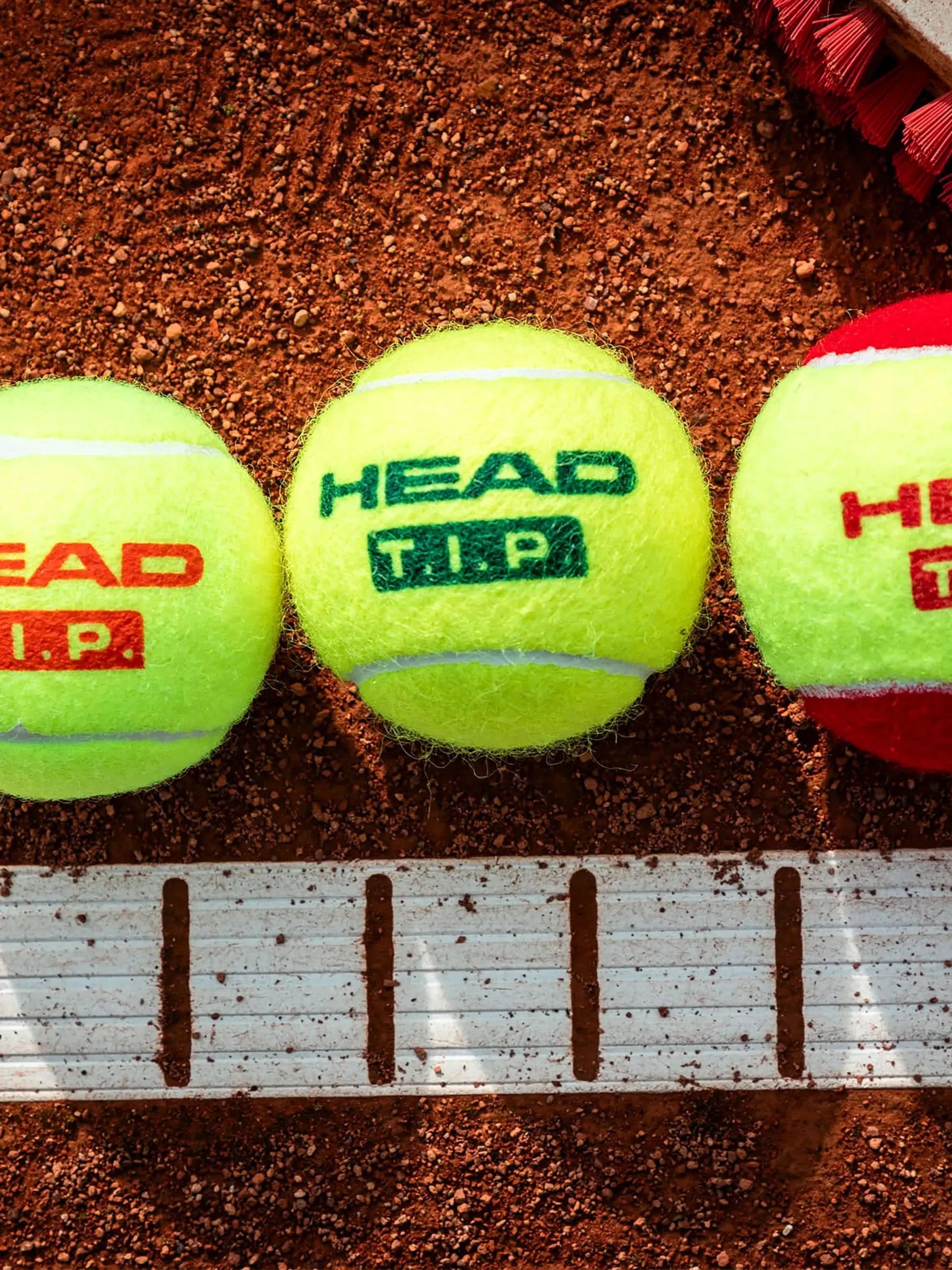 HEAD T.I.P. Orange 3 Tennis Balls – Single Can