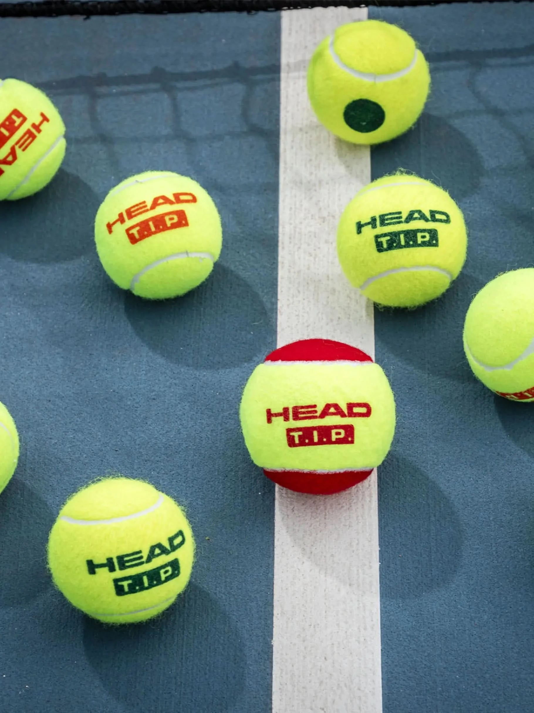 HEAD T.I.P. Red 3 Tennis Balls – Single Can