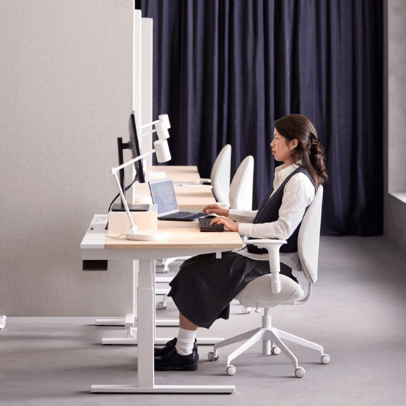 Kingsmith ETSFI21 Smart Adjustable Electric Standing Desk with Drawer and Monitor Stand