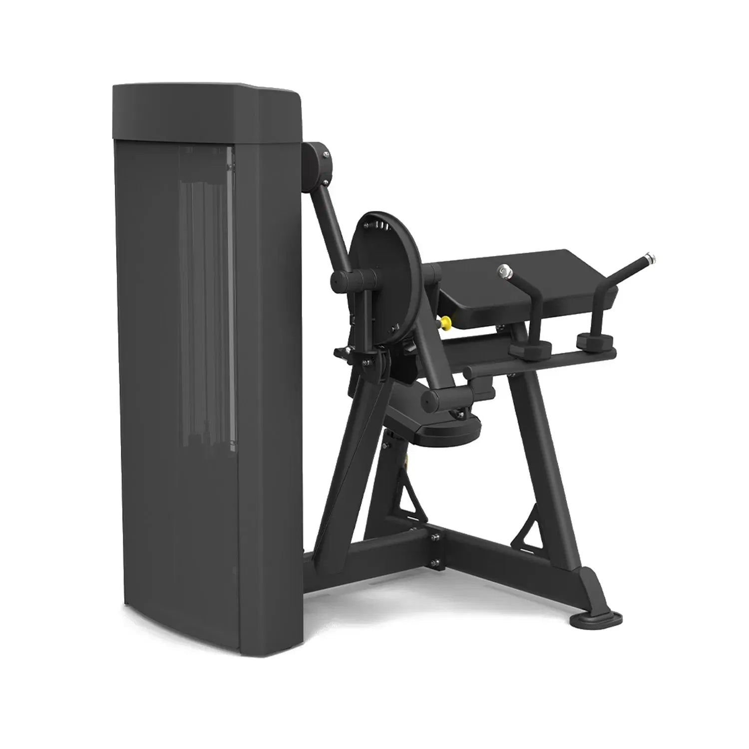 Spirit Fitness Biceps Curl & Triceps Extension