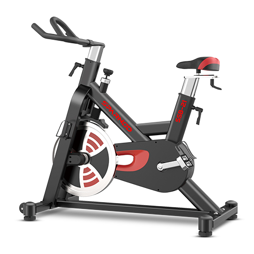 Sparnod Fitness Spinning Bike, SSB-21