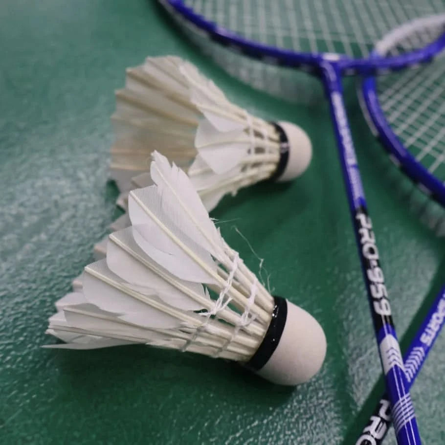 Dawson Sports Tournament Shuttlecock – Feather