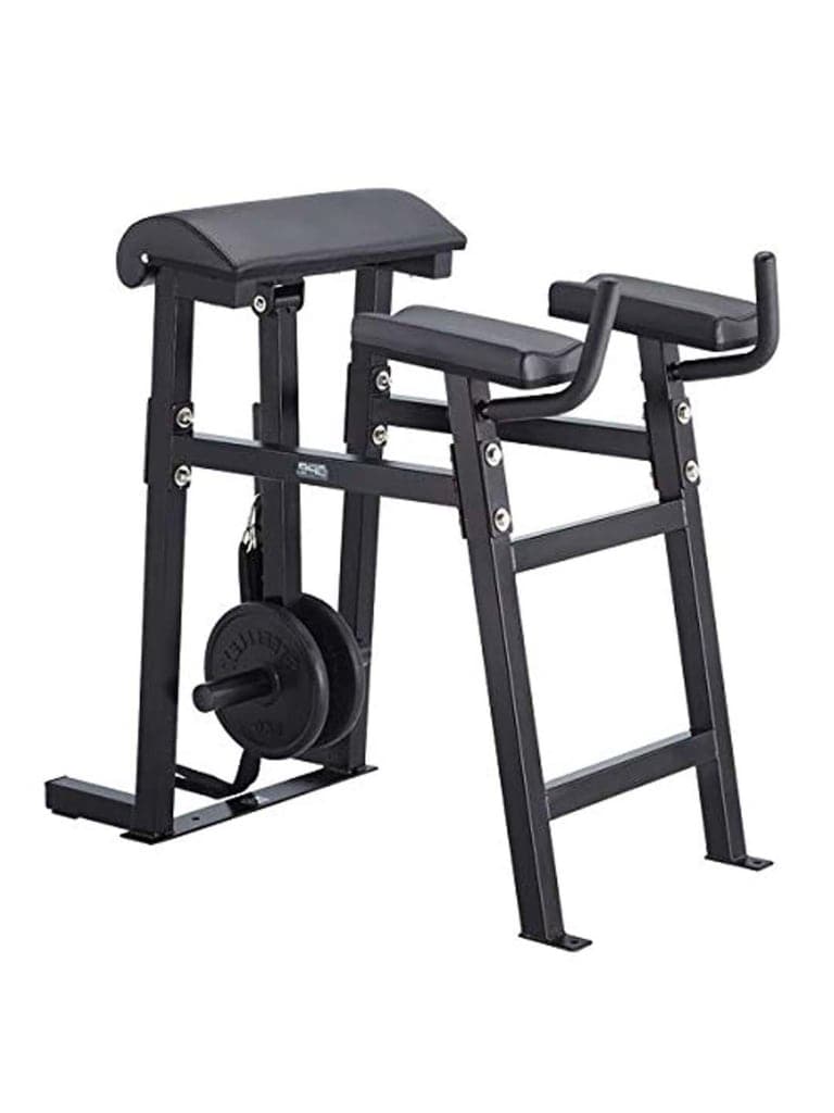 Steelflex, Body Solid Reverse Hyper Bench-Ape Series Rh-1 - Athletix.ae