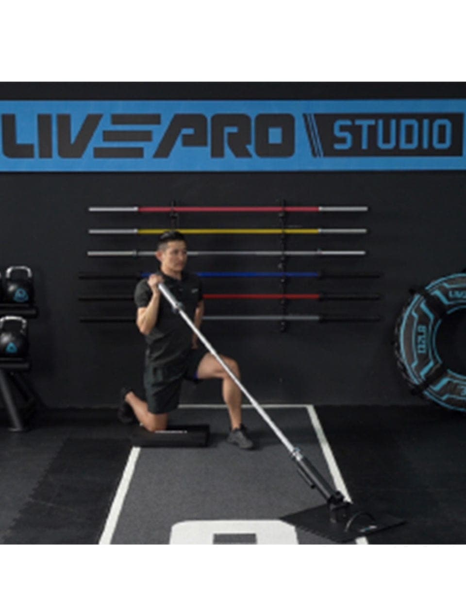 LivePro Landmine Home Base