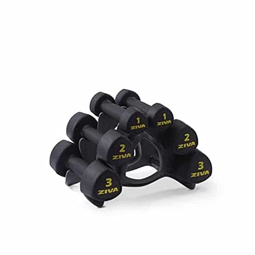 SWLLC Dumbbells & Kettlebell Ziva Studio Tri-bel 12 Kg Set (1,2,3 Kg Pair) with Stand