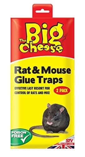 Rat & Mouse Glue Traps - 2 Pack