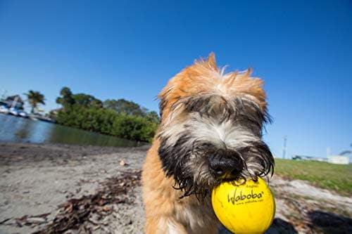 Sport In Life Waboba Fetch Water Ball for Dogs