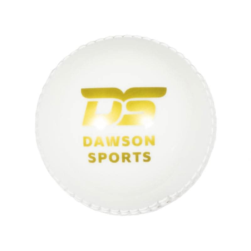 DS Incrediball PVC Cricket Ball - Athletix.ae