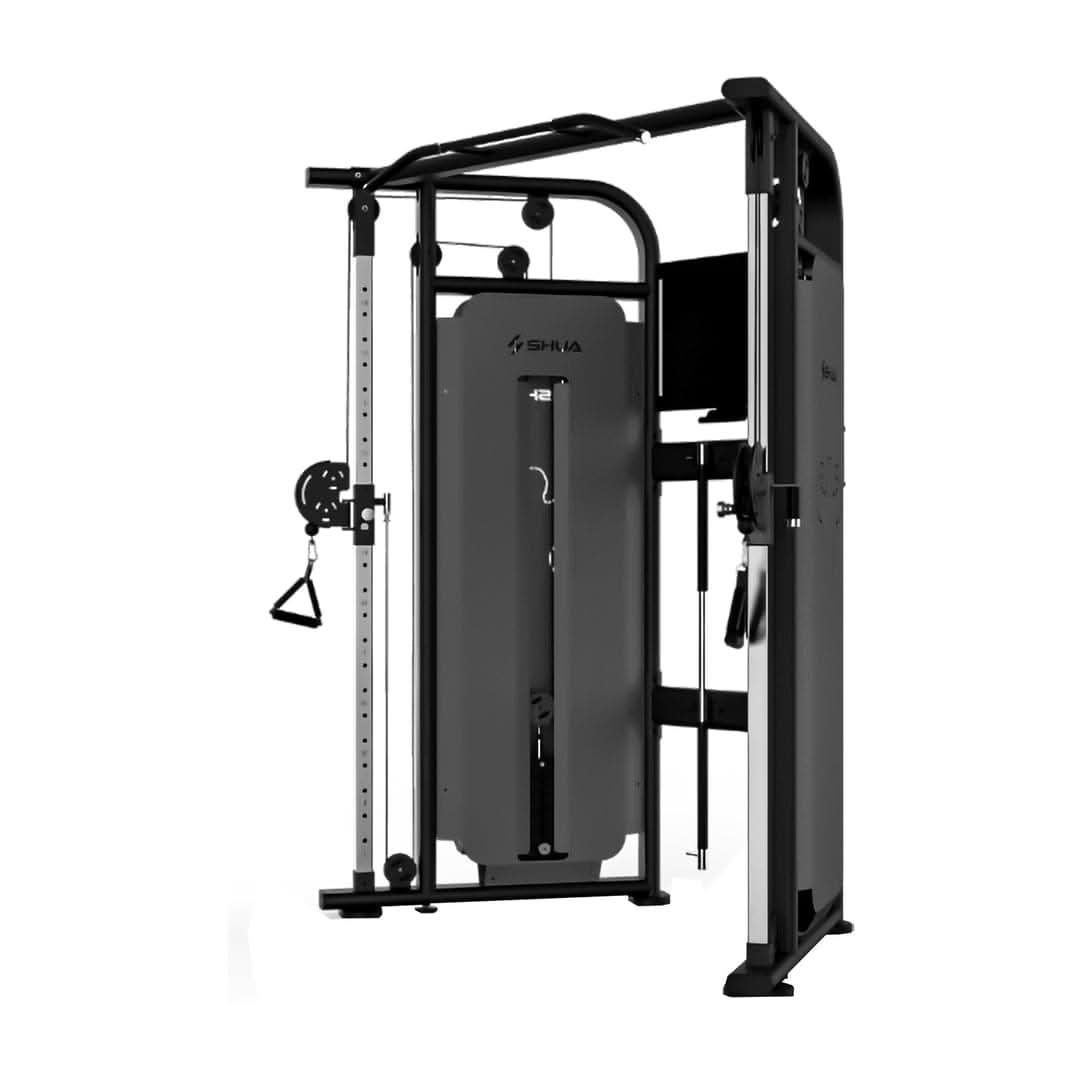 SHUA, Dual Adjustable Pulley SH-G6820-T18, Black Silver & Flash silver, black ash - Athletix.ae