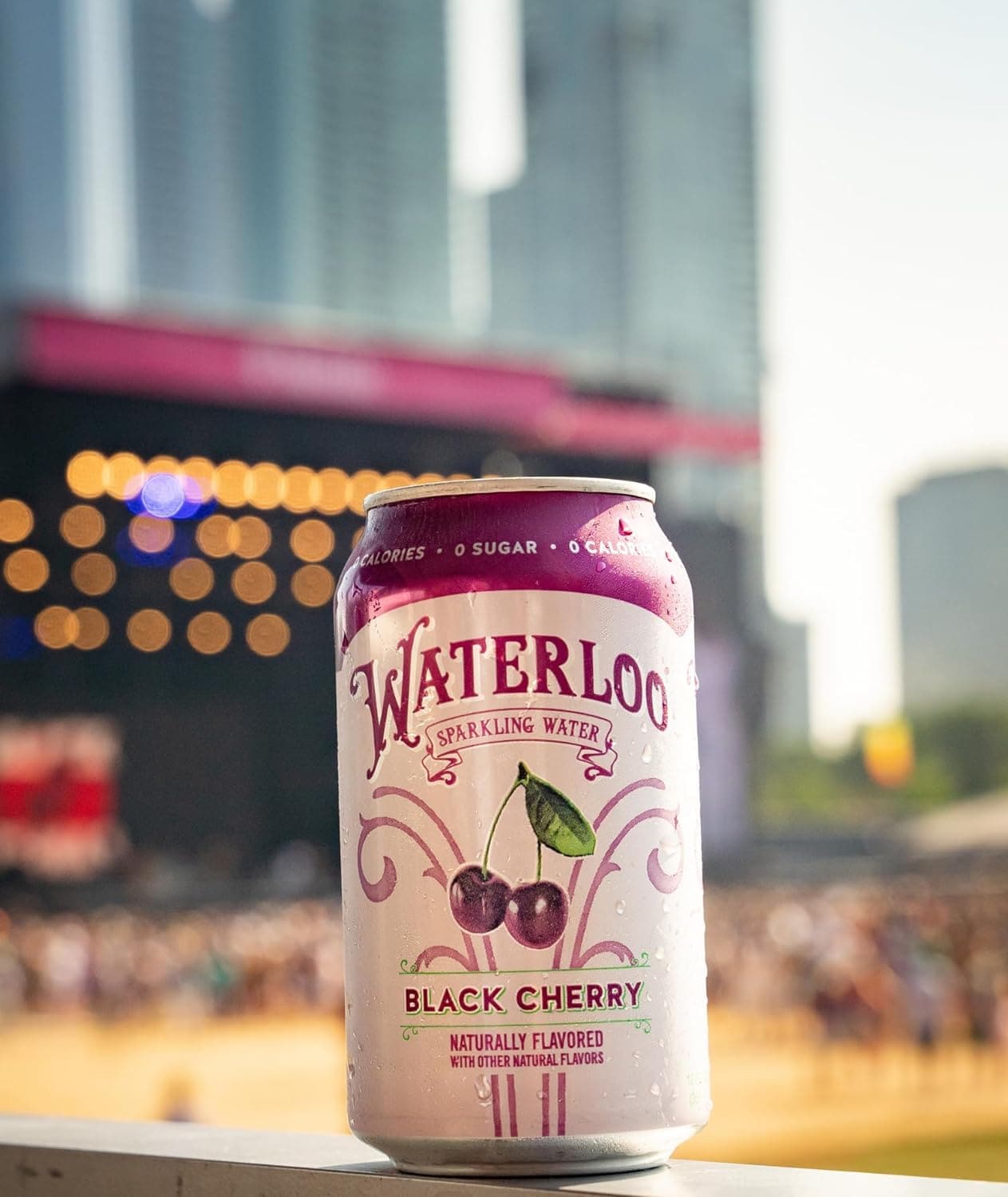 Waterloo Black Cherry Sparkling water -Organic - 12 Pack x 355ml - 0 Sugar, 0 Calories, Non-GMO, Gluten Free, BPA Free, Vegan,Whole30, Kosher, No Artificial Sweetener, Soda & Tonic Replacement - Athletix.ae