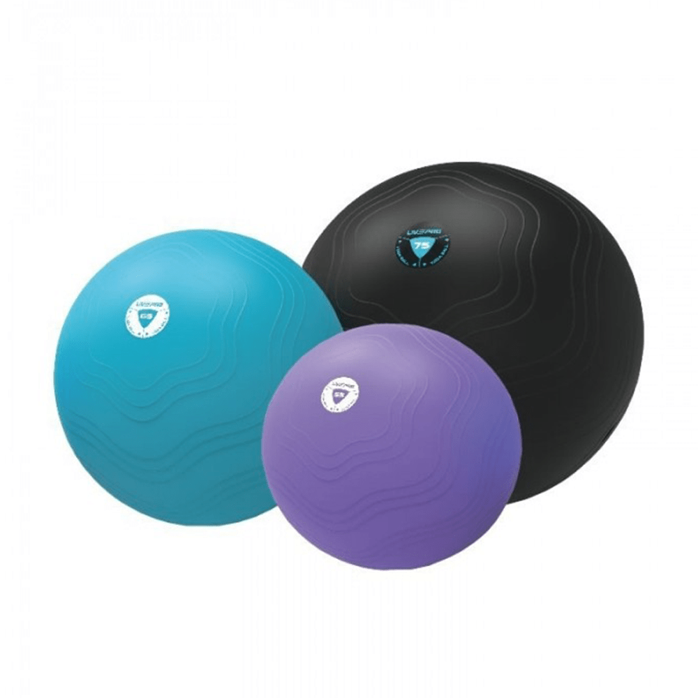 LivePro Anti Burst Core Fit Exercise Ball - Athletix.ae