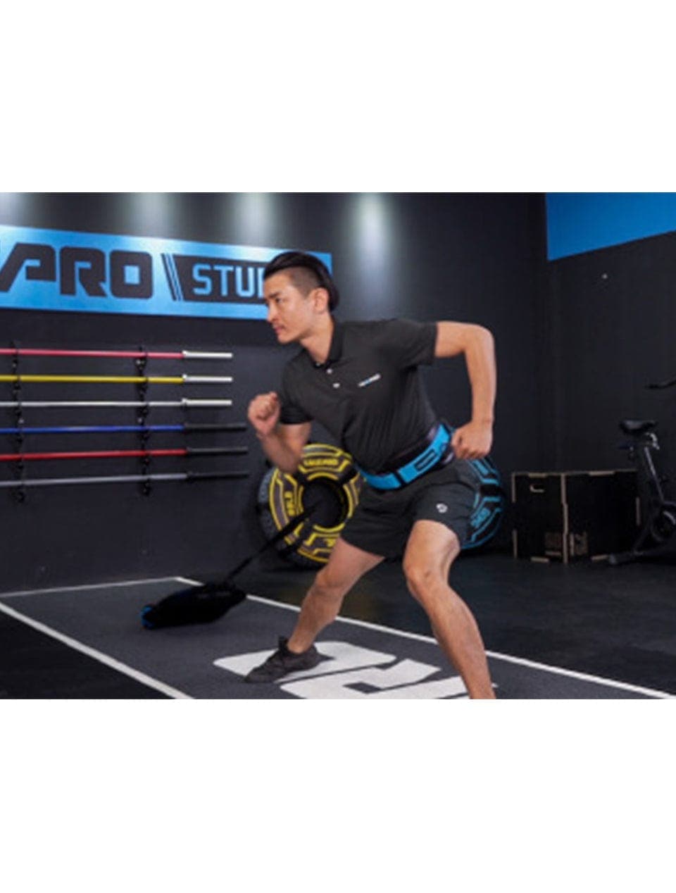 LivePro Speed Bag - Athletix.ae
