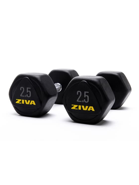 SWLLC Dumbbells & Kettlebell 2.50 KG Ziva Performance Hexagon Steel Dumbbells