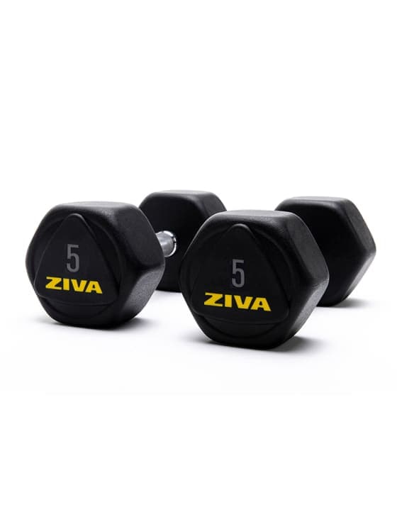 SWLLC Dumbbells & Kettlebell 5.00 KG Ziva Performance Hexagon Steel Dumbbells