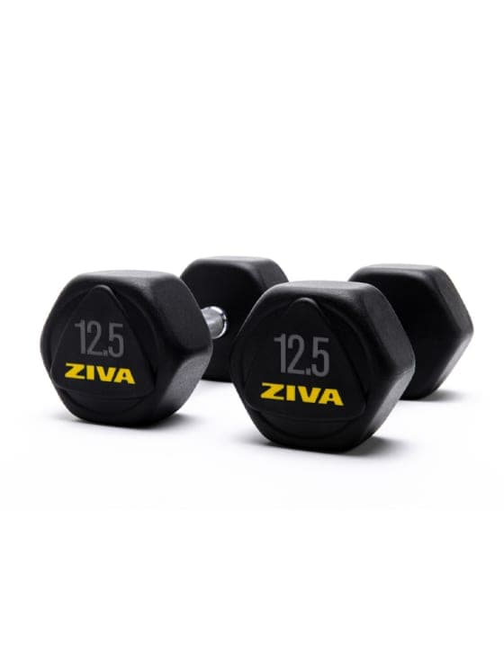 SWLLC Dumbbells & Kettlebell 12.50 KG Ziva Performance Hexagon Steel Dumbbells