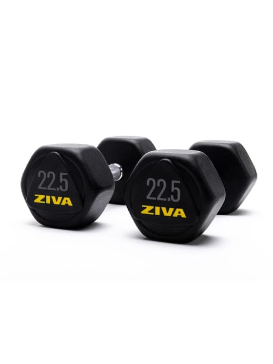 SWLLC Dumbbells & Kettlebell 22.50 KG Ziva Performance Hexagon Steel Dumbbells