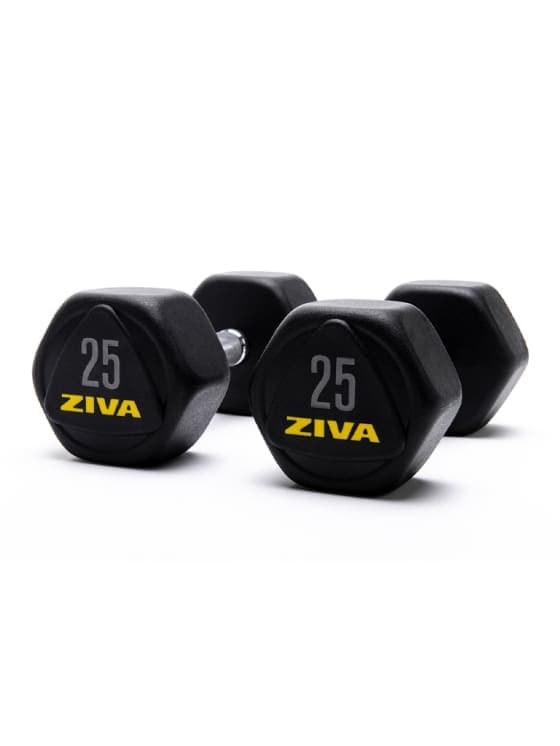 SWLLC Dumbbells & Kettlebell 25.00 KG Ziva Performance Hexagon Steel Dumbbells