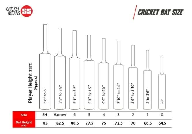 S.S, Ton Super English Willow Cricket Bat -Sh - Athletix.ae