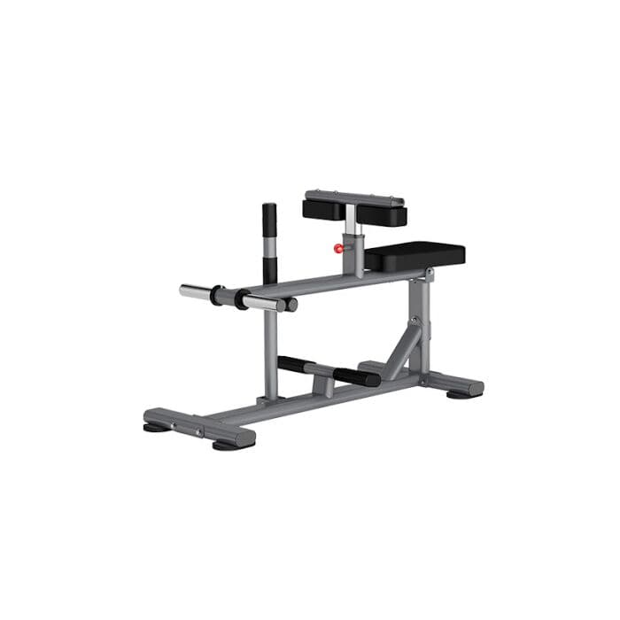 Insight Fitness, Seated Calf Raise DR011, Grey - Athletix.ae