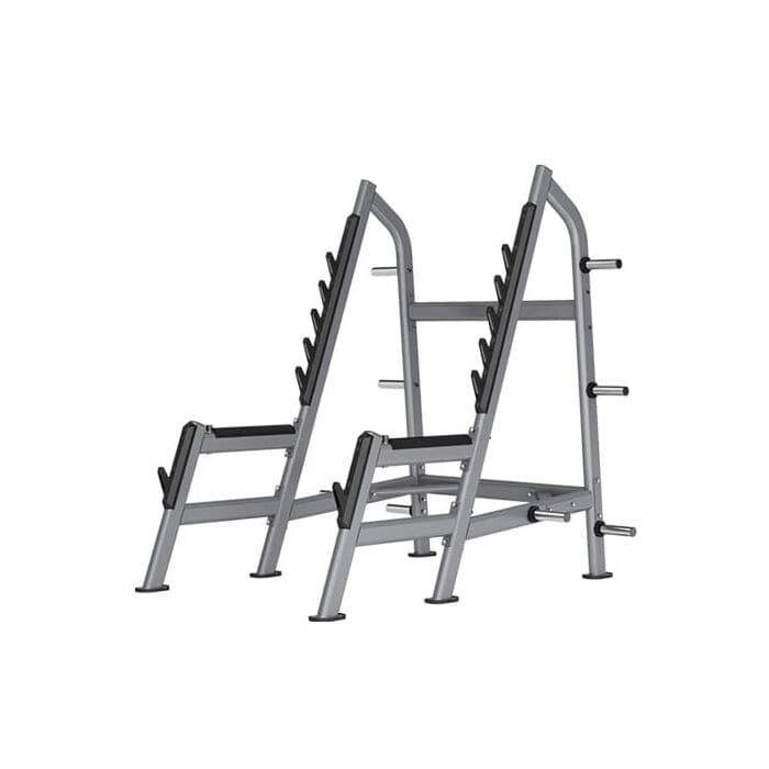 Insight Fitness Squat Rack DR028, Gray - Athletix.ae