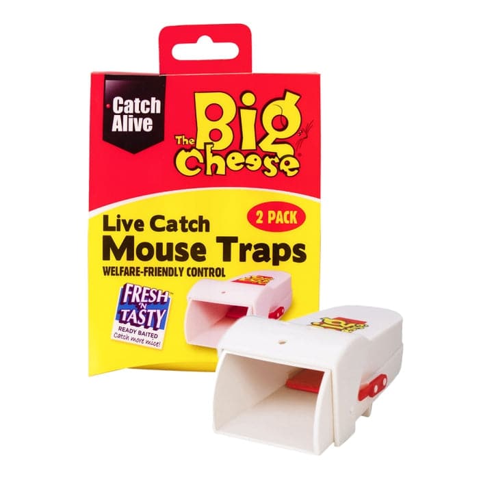 STV Live Catch Mouse Trap - Twinpack - OUTBACK